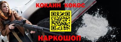СК Бердск