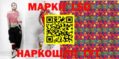 СК Бердск