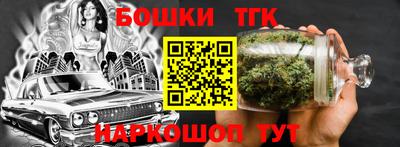 СК Бердск