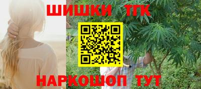 СК Бердск