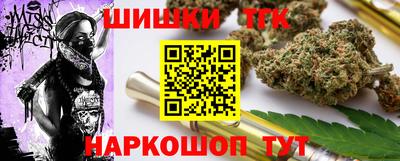 СК Бердск