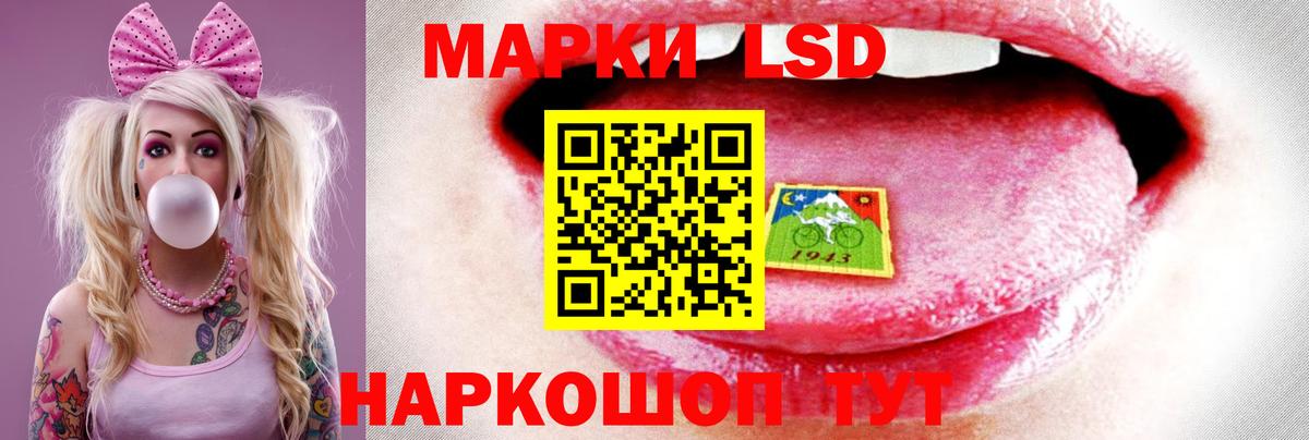 Галлюциногенные грибы Сургут