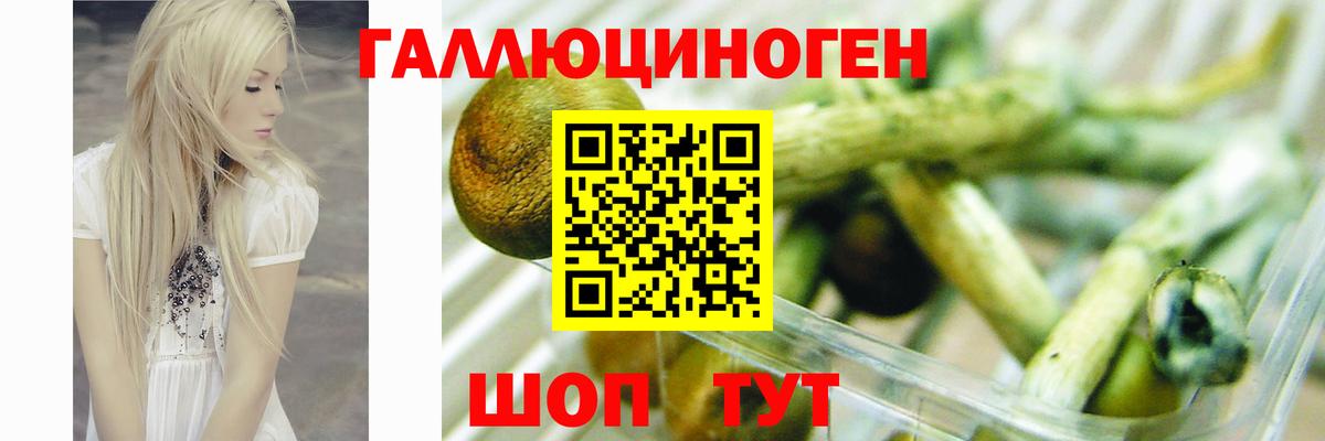 ГАШИШ  Марихуана  Меф МЯУ МЯУ кристаллы  Сургут  ГАШИШ  Экстази  Кокаин  Вход с VPN  APVP СК  